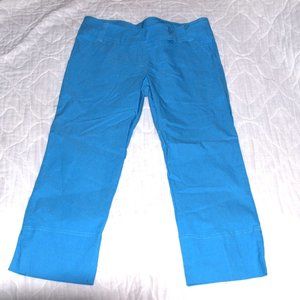 Ponny Tail Blue Boot Cut Pants Size XL
